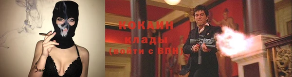 дживик Белоозёрский