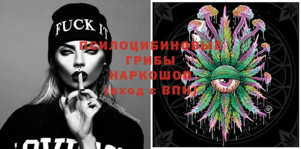 дживик Белоозёрский