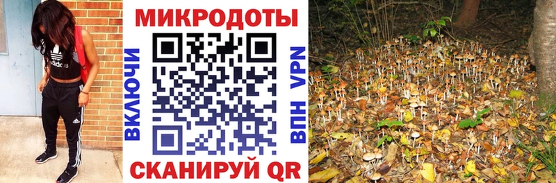 ссылка на мегу как зайти  Южно-Сухокумск  Галлюциногенные грибы прущие грибы  цена наркотик 